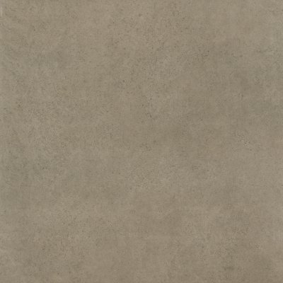 SHAWN GREY (AS)