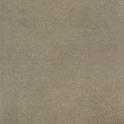 SHAWN GREY (AS)