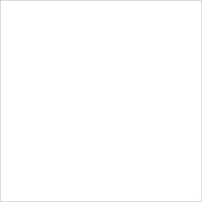 โบนไชน่า POLISHED BONE CHINA POLISHED