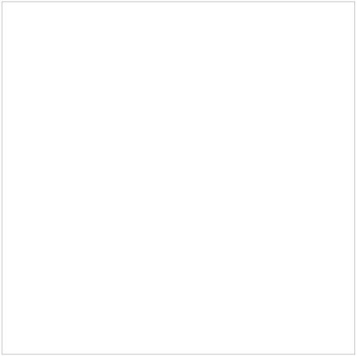 BLINK WHITE