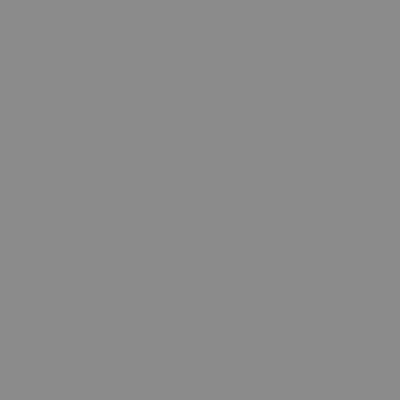 LAMES GREY