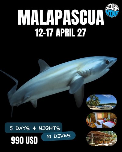 Malapascue (Day Trip)