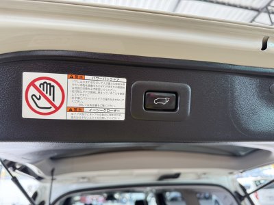 Toyota Vellfire 2.5 ZG Edition (ปี 2019) Wagon AT