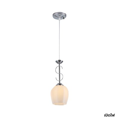 Hanging Lamp MODEL 05-HL-06884-1 (E27x1) Silver