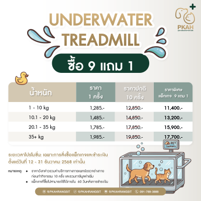 แพคเกจเดินสายพานใต้ทำ Underwater Treadmill
