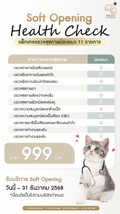 Health Check แพ็กเกจตรวจสุขภาพน้องแมว