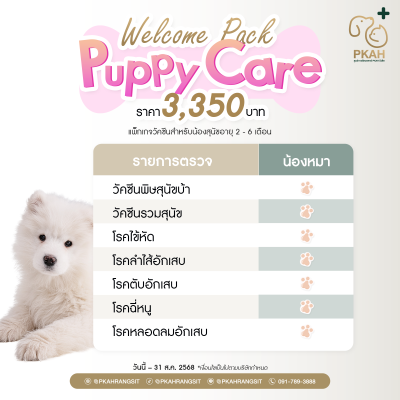 แพ็กเกจวัคซีนครบสำหรับเจ้าสุนัขวัย 26 เดือน สำหรับน้องหมา 4,199 บาท