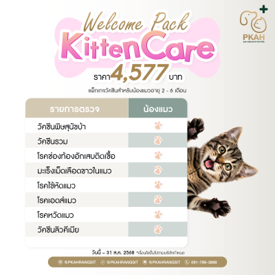 แพ็กเกจวัคซีนครบ สำหรับแมว  2–6 เดือน
