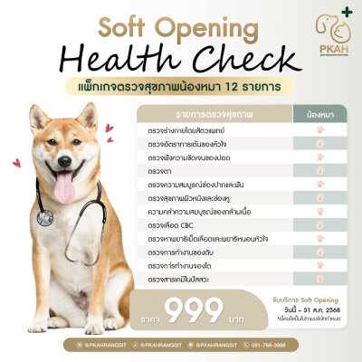 ตรวจสุขภาพน้องหมา - PKAH Rangsit Veterinary Center
