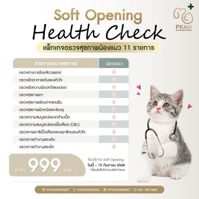 Dog and cat health check