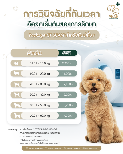 PACKAGE - CT Scan สำหรับสัตว์เลี้ยง
