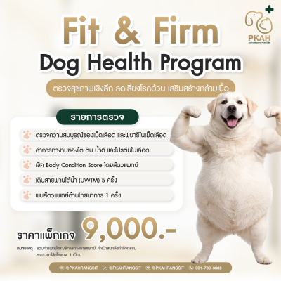 Fit & Firm Dog Health Program