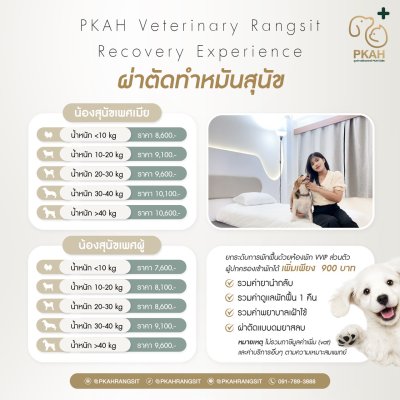 ผ่าตัดสุนัข, ผ่าตัดแมว, ผ่าตัดสุนัขแมว, ผ่าตัดสัตว์เลี้ยง, ผ่าตัดหมา, ผ่าตัดทำหมันหมา, ผ่าตัดทำหมันแมว, ผ่าตัดฉุกเฉินสุนัข, ผ่าตัดฉุกเฉินแมว, ผ่าตัดเนื้องอกสุนัข, ผ่าตัดเนื้องอกแมว, ผ่าตัดกระดูกสุนัข, ผ่าตัดกระดูกแมว, ผ่าตัดสุนัขราคา, ผ่าตัดแมวราคา, ค่าผ่