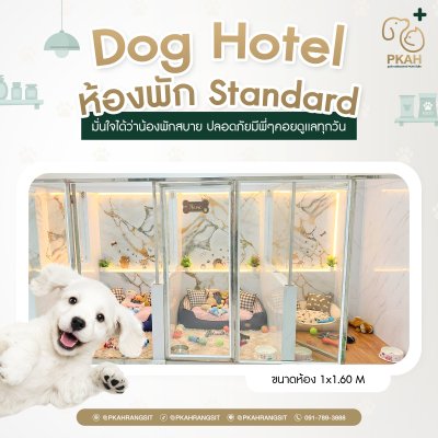 Pet Hotel รับฝากสัตว์เลี้ยงสุนัขแมว ช่วงปีใหม่