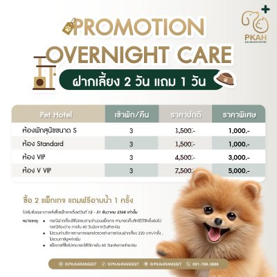 โปรดี ๆ สำหรับคนรักน้อง Overnight Care ฝากเลี้ยงค้างคืน ฝากเลี้ยง 2 วัน แถมฟรี 1 วัน