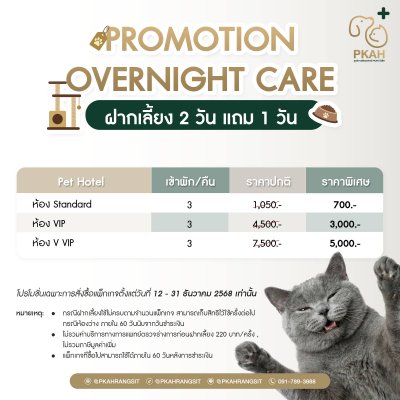 โปรดี ๆ สำหรับคนรักน้อง Overnight Care ฝากเลี้ยงค้างคืน ฝากเลี้ยง 2 วัน แถมฟรี 1 วัน