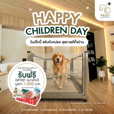 ชวนน้องหมา น้องแมว มาสนุกกับกิจกรรม เดินสายพานใต้น้ำ เสริมกล้ามเนื้อ สุขภาพดี พร้อมถ่ายรูปเช็คอิน เก็บโมเมนต์น่ารัก ๆ