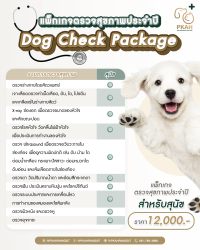 ตรวจสุขภาพสุนัข ศูนย์การสัตวแพทย์ PKAH รังสิต