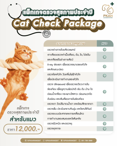 ตรวจสุขภาพแมว ศูนย์การสัตวแพทย์ PKAH รังสิต