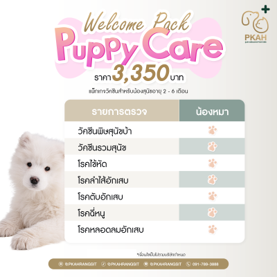 วัคซีนสุนัข