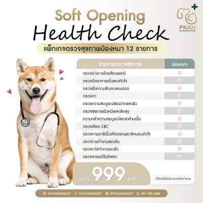 ตรวจสุขภาพสุนัข 999 บาท