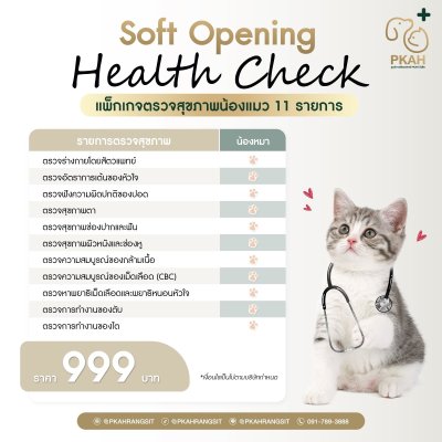 ตรวจสุขภาพแมว 999 บาท