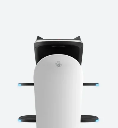 Bellabot pro Delivery