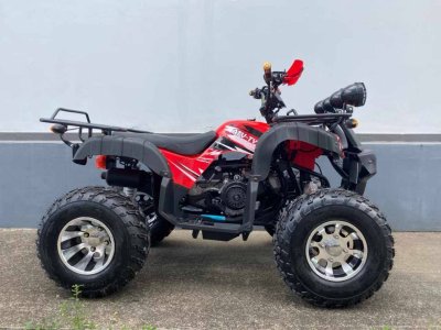 PANDA BIKE - ATV 200cc