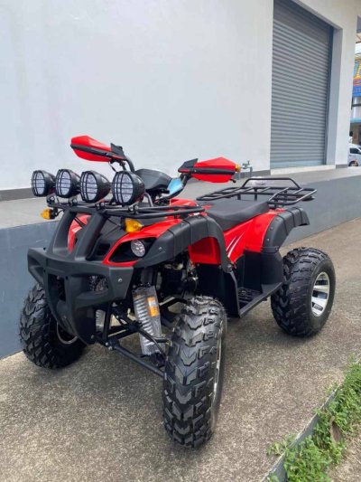 PANDA BIKE - ATV 200cc
