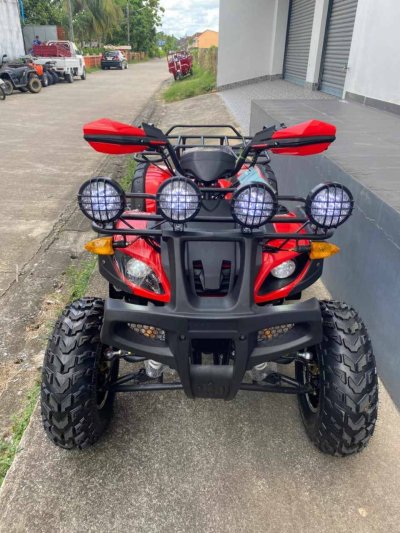 PANDA BIKE - ATV 200cc