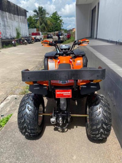 PANDA BIKE - ATV 150cc