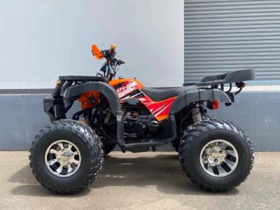 PANDA BIKE - ATV 150cc