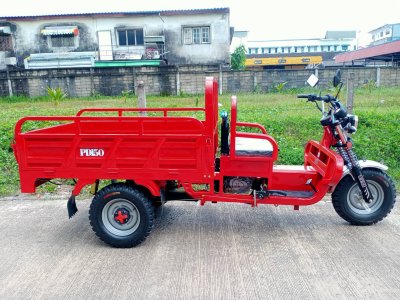รถสามล้ออเนกประสงค์ (ใช้น้ำมัน) PANDA BIKE-150C