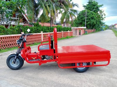 รถสามล้ออเนกประสงค์ (ใช้น้ำมัน) PANDA BIKE-150C