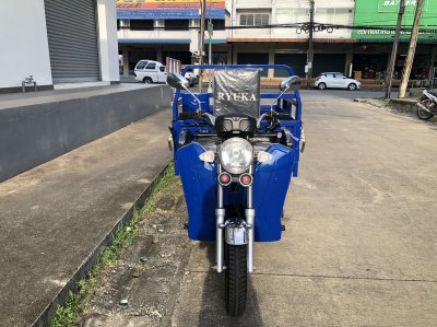 สามล้ออเนกประสงค์ RYUKA BULL 9S3