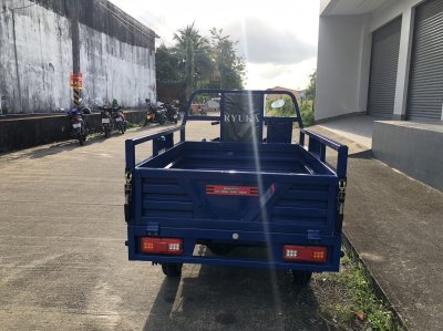 สามล้ออเนกประสงค์ RYUKA BULL 9S3