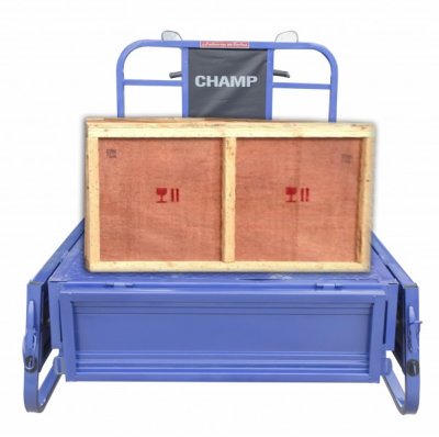 สามล้อไฟฟ้า CHAMP  Pro125