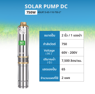 ปั๊มน้ำซับเมอร์สโซล่าร์เซลล์ แบรนด์ DIFFUL รุ่น 4DLR7.5-65-110-750-2" พร้อมกล่องควบคุม (DC Controller)