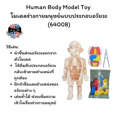 Human Body Model Toy  โมเดลร่างกายมนุษย์แบบประกอบอวัยวะ (64008)