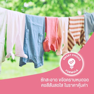 Homeplus Blooming Flower Laundry Liquid