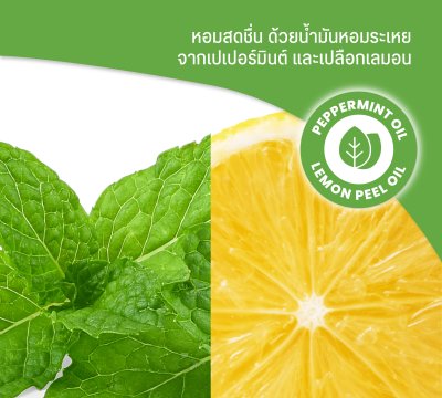 Homeplus Natural Dishwashing Liquid