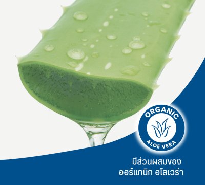 HOMEPLUS OPTISHIELD CLEAR