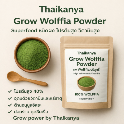 ウルフィアパウダー栽培｜THAIKANYA