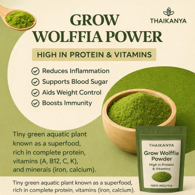 ウルフィアパウダー栽培｜THAIKANYA