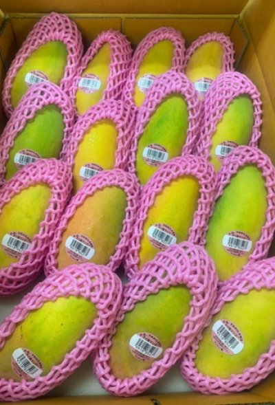 MAHACHANOK Mango Weight 5 Kg