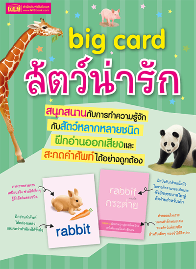 BIG CARD สัตว์น่ารัก (Animals)