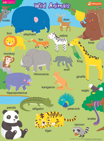 โปสเตอร์พลาสติก - Wild Animals