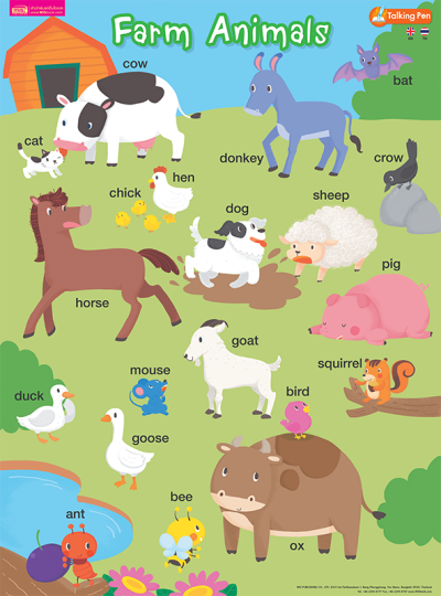 โปสเตอร์พลาสติก - Farm Animals