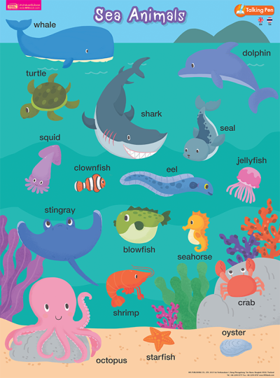 โปสเตอร์พลาสติก - Sea Animals
