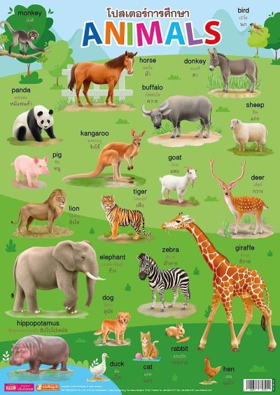 โปสเตอร์การศึกษา Animals